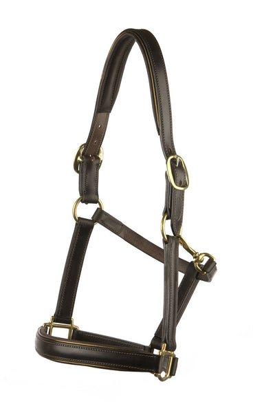 Padded Leather Halter/Headstall
