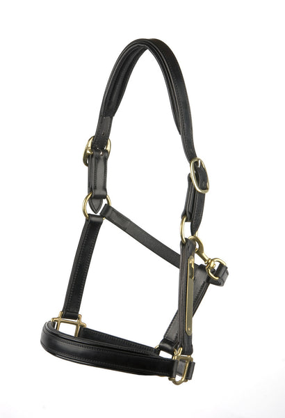 Padded Halter/Headstall with Patent Leather Piping.