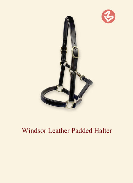 Windsor Padded Halter