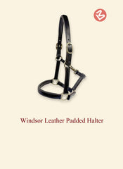 Windsor Padded Halter