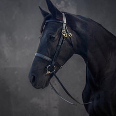 Windsor Show/Work Bridle
