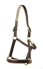 Padded Leather Halter with Cream Padding and Gold Piping - Mal Byrne Performance Saddlery