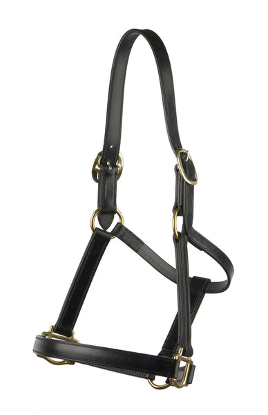 Stitched Leather Halter/Headstall