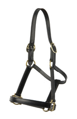 Stitched Leather Halter/Headstall - Mal Byrne Performance Saddlery