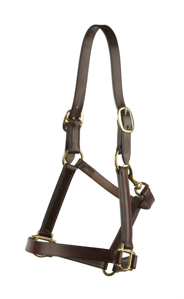 Plain Leather Halter/Headstall
