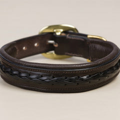 Braided Leather Dog Collar - Mal Byrne Performance Saddlery