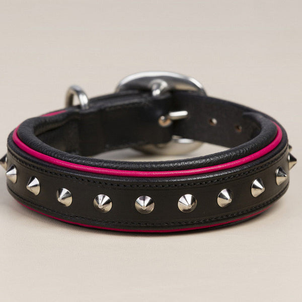 Studed Collar
